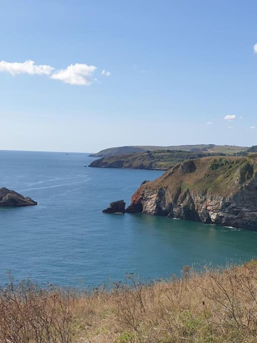 Rosedale A Charming Detached 4 Bedroom Cottage. Brixham Exteriör bild